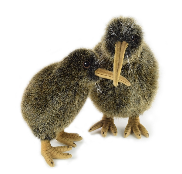 Kiwi 20 cm